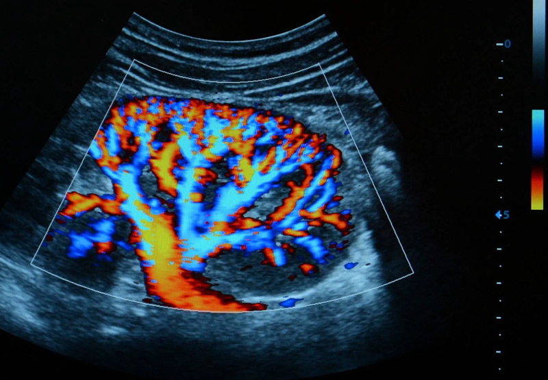 imaging-for-reconstructive-surgery-Dr.-Kai-Wen-Chuang imaging-for-reconstructive-surgery-Dr.-Kai-Wen-Chuang